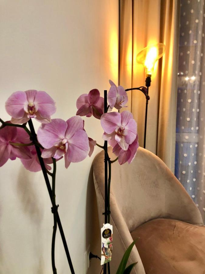 Old Town Romantic Apartment. Breslau-Wroclaw. ภายนอก รูปภาพ